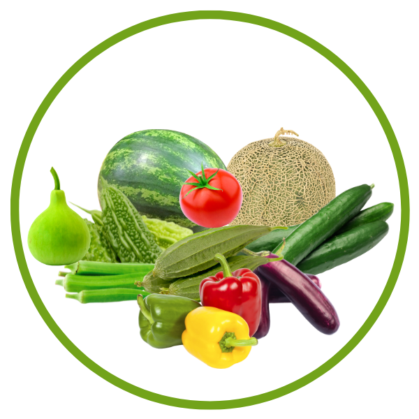Vegetables Seeds