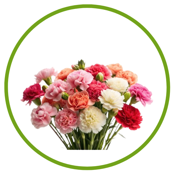 Flower Seeds