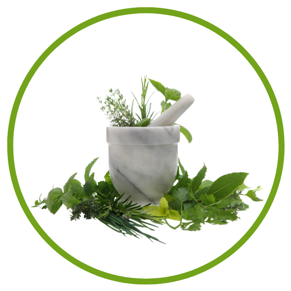 Herb Seeds