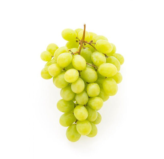 Sugraone Grapes Plant (Superior Seedless) – Live Vine