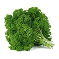 Parsley 50+ Seeds