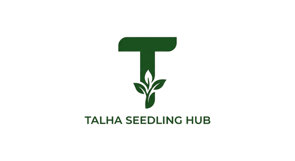 Talha Seedlings
