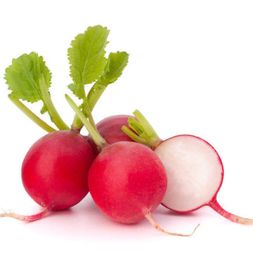 Red Reddish 150+ Seeds