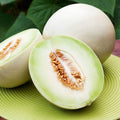 F1 Hybrid Honey Sweet Melon 15 Seeds
