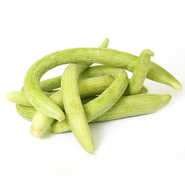 Imported American Cucumber (Tar) 20+ Seeds