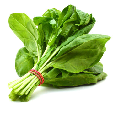 Spinach 500+ Seeds