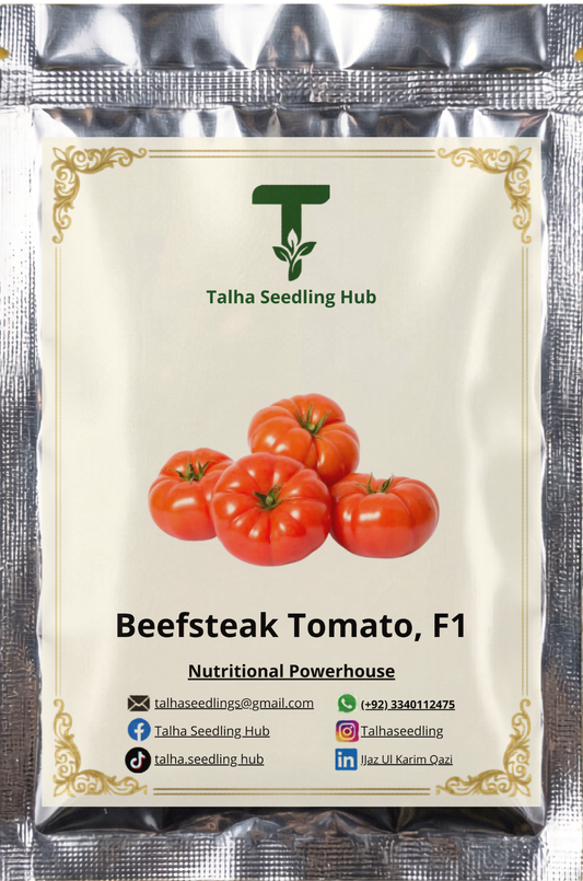 Beefsteak Tomatoes 10 Seeds