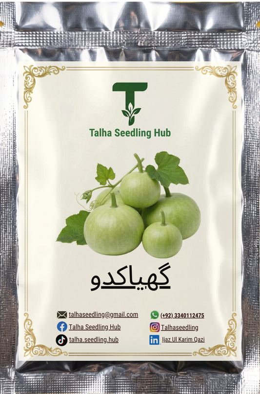 F1 Hybrid Ghia Kaddu 10 Seeds