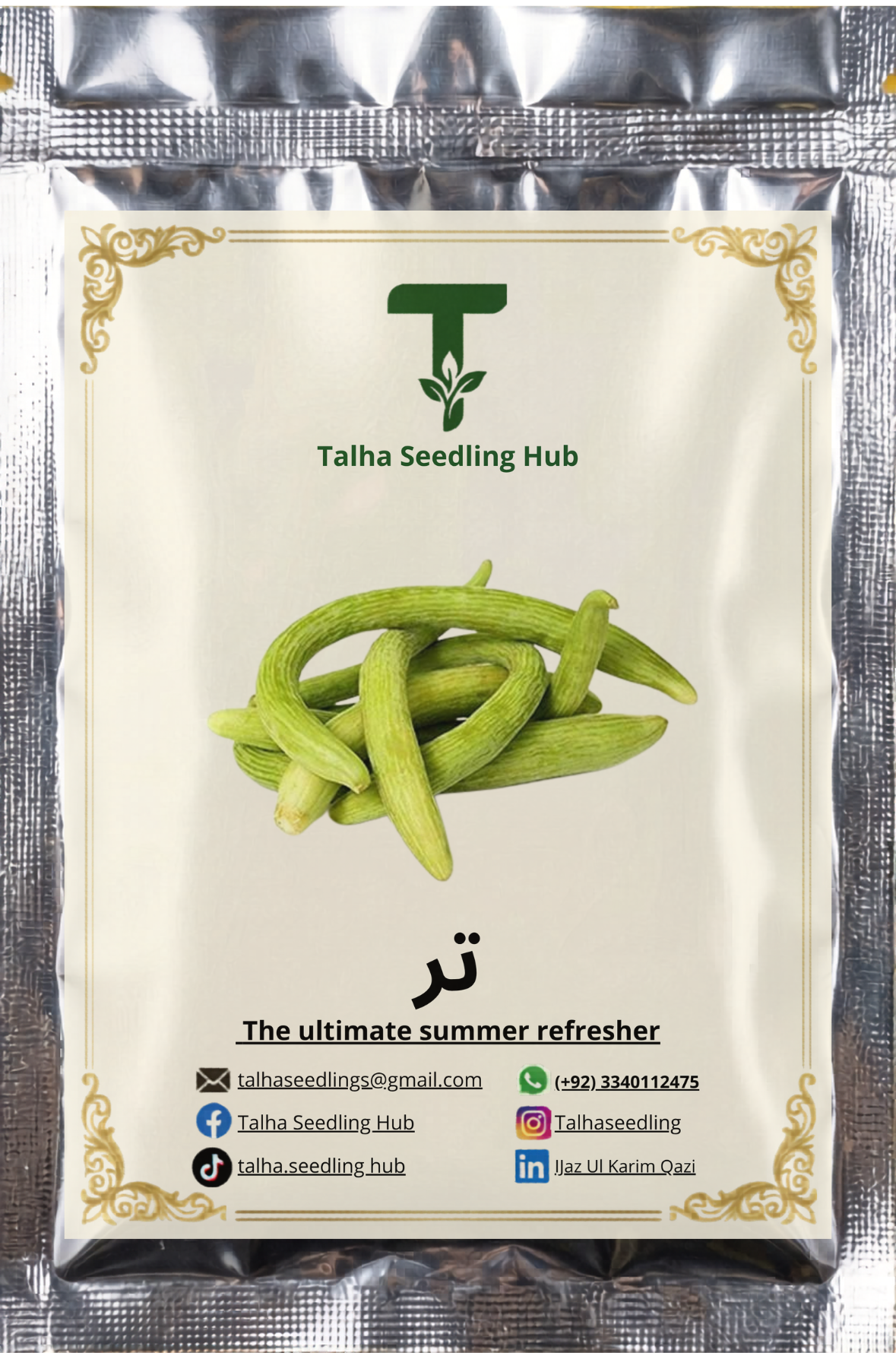 Imported American Cucumber (Tar) 20+ Seeds