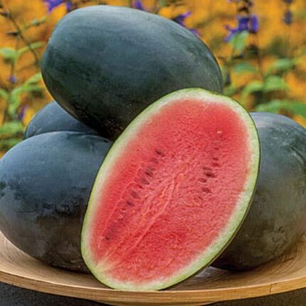 F1 Hybrid Watermelon 10 Seeds