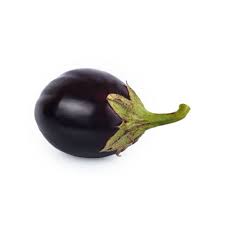 Live Brinjal Eggplant Plant Seedling