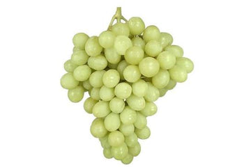 Sugraone Grapes Plant (Superior Seedless) – Live Vine
