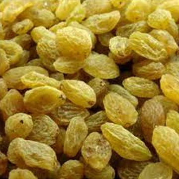 Kishmish Grapes Plant (Seedless) – Premium Live Vine